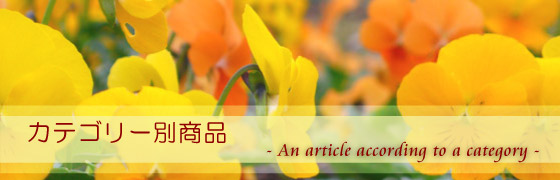 �֗��Ȑ����G�݃J�e�S���[��