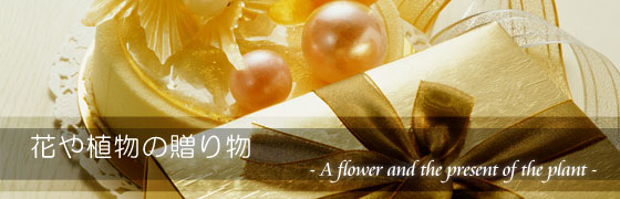 �o����ʐM�̔��ł�����