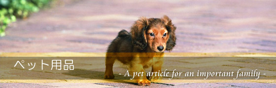 �y�b�g�p�i��ʐM�̔�