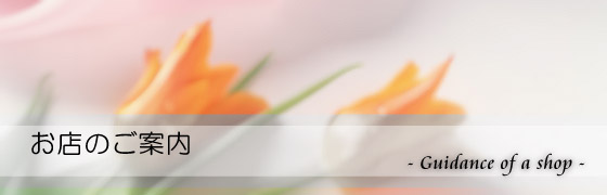 �����G�݃l�b�g�z�[���Z���^�[