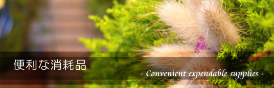 �����Ȑ������Օi