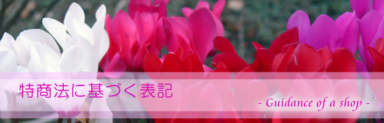 �����G�݃l�b�g�z�[���Z���^�[�S��